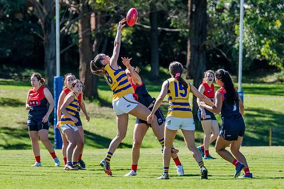 Rd 2 WPD - Pennant Hills v Sydney Uni - 15 April 2023