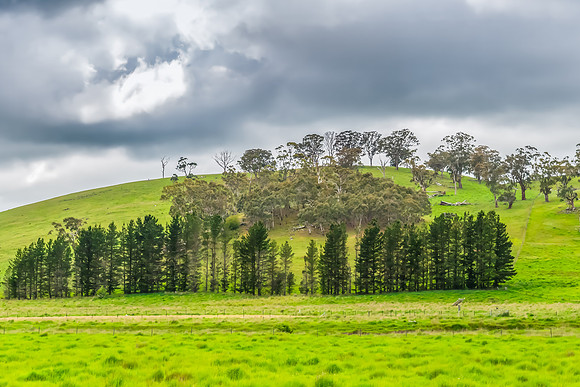 Rural landscapes on an overcast Spring day in the Central Tablel