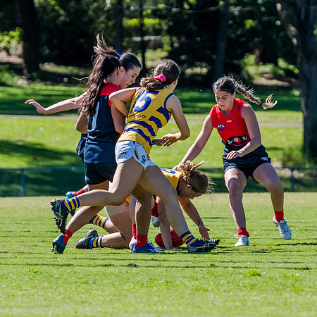 Rd 2 WPD - Pennant Hills v Sydney Uni - 15 April 2023