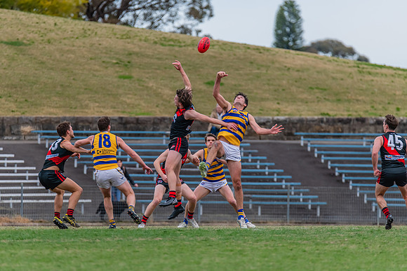 MPD Qualifying Final - North Shore v Sydney University - 20 Augu