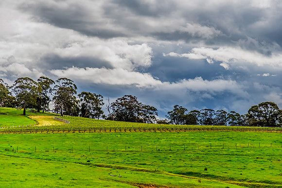 Spring landscape in the countryside with rain clouds