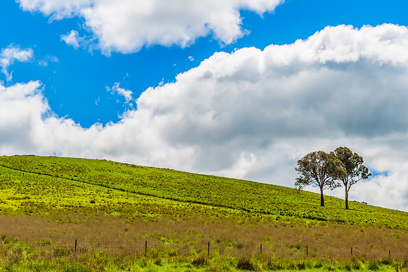 A Spring day in the green and hilly Central West NSW countryside