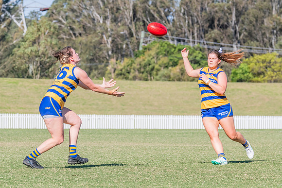 WPD Elimination Final - North Shore v Sydney Uni - 1 September 2