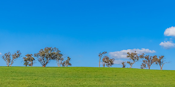 Green Hills and Rural Landscape near Chifley Dam