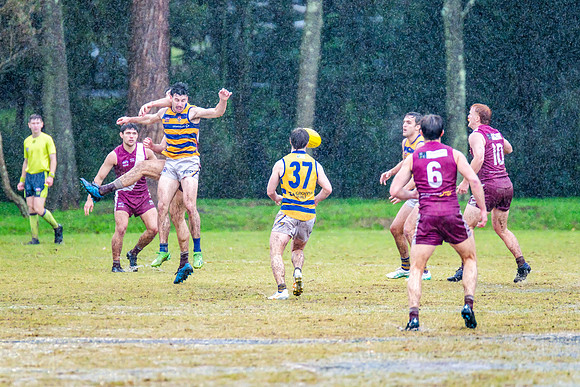 Rd 10 MPD - Manly Warringah v Sydney Uni - 22 June 2024