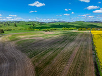 Spring Canola Crop in the NSW Central West Countryside