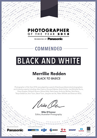 2018 Photographer of the Year - Commended