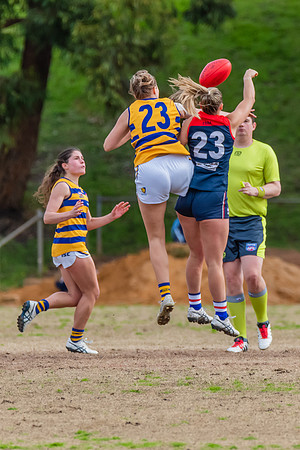 Rd 14 WPD - Pennant Hills v Sydney Uni - 16 July 2022
