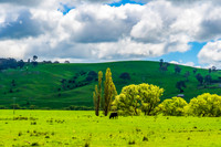 A Spring day in the green and hilly Central West NSW countryside