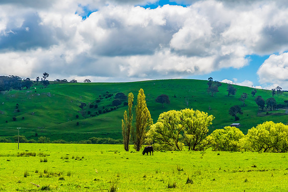 A Spring day in the green and hilly Central West NSW countryside
