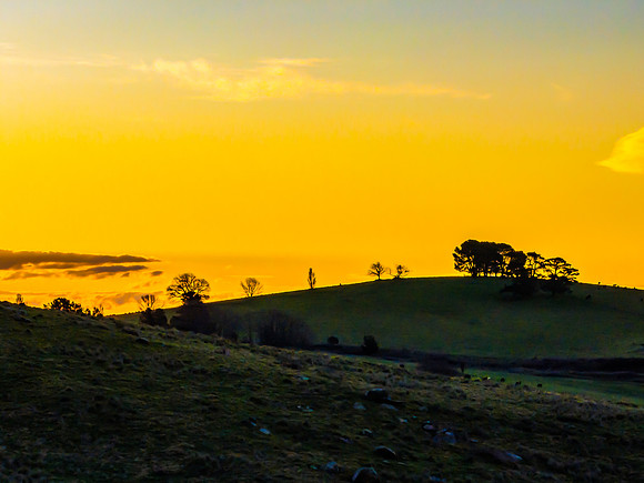 Golden Hour Light Over the Countryside