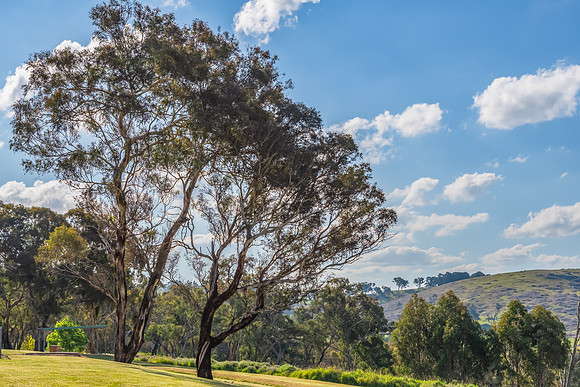 Green Hills and Rural Landscape near Chifley Dam