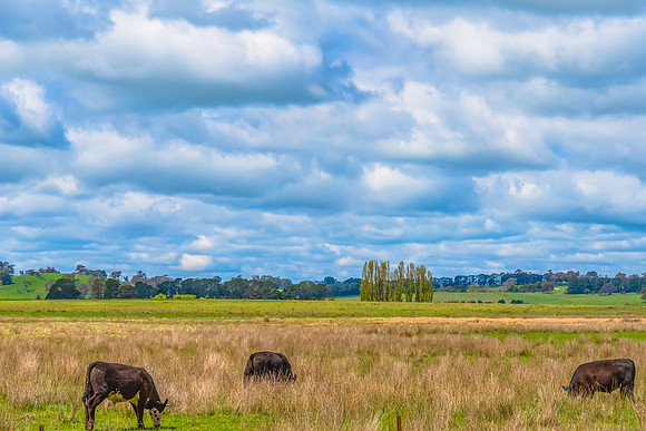 A Spring day travelling through the rural countryside in the Bla