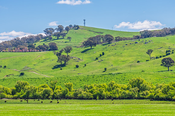 A Spring day in the green and hilly Central West NSW countryside