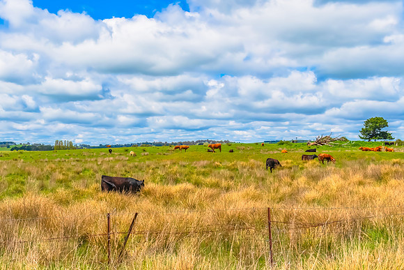 A Spring day travelling through the rural countryside in the Bla