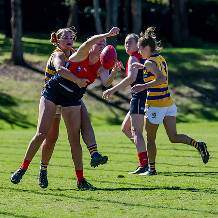 Rd 2 WPD - Pennant Hills v Sydney Uni - 15 April 2023