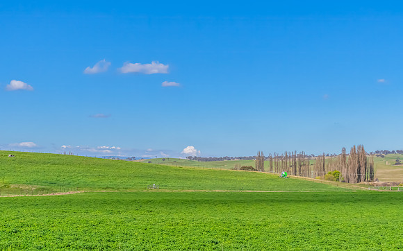 Green Hills and Rural Landscape near Chifley Dam