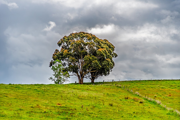 Spring landscape in the countryside with rain clouds