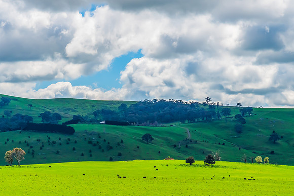 A Spring day in the green and hilly Central West NSW countryside