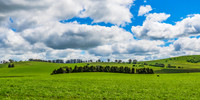 A Spring day in the green and hilly Central West NSW countryside