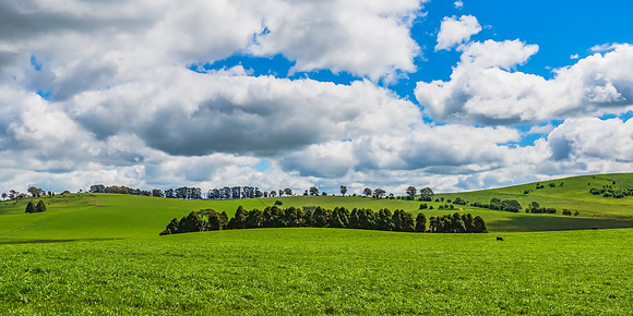 A Spring day in the green and hilly Central West NSW countryside