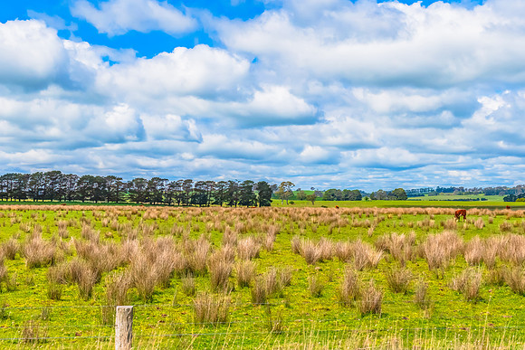 A Spring day in the green and hilly Central West NSW countryside