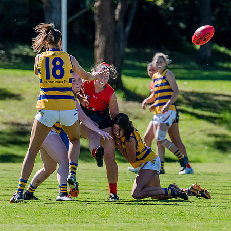 Rd 2 WPD - Pennant Hills v Sydney Uni - 15 April 2023