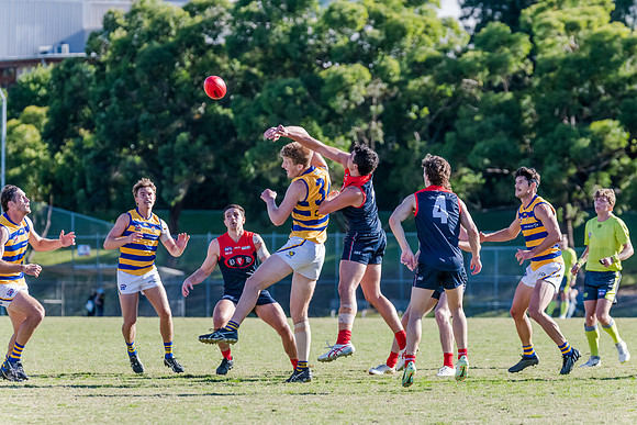 Rd 2 MPD - Pennant Hills v Sydney University - 15 April 2023