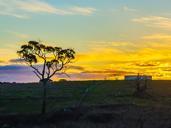 Golden Hour Light Over the Countryside