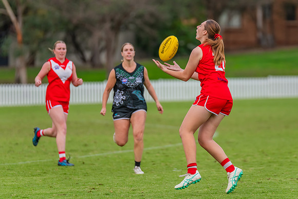 Rd 7 WPD - St George v UTS - 25 May 2024