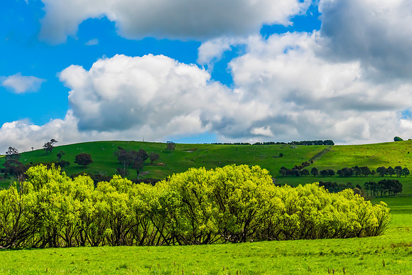 A Spring day in the green and hilly Central West NSW countryside