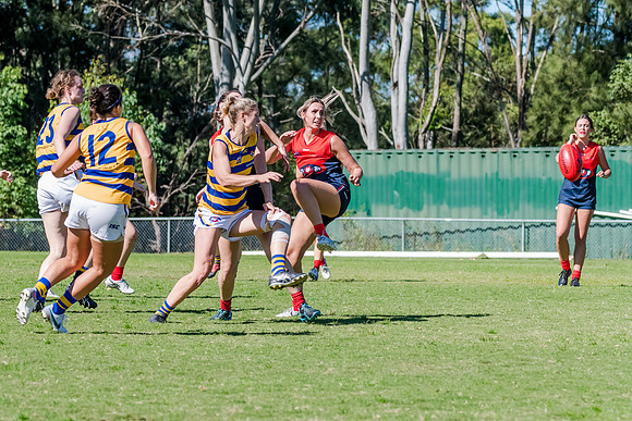 Rd 2 WPD - Pennant Hills v Sydney Uni - 15 April 2023
