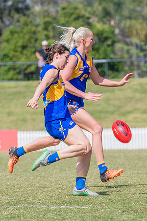 WPD Qualifying Final 2 - East Coast v Manly Warringah - 7 Septem