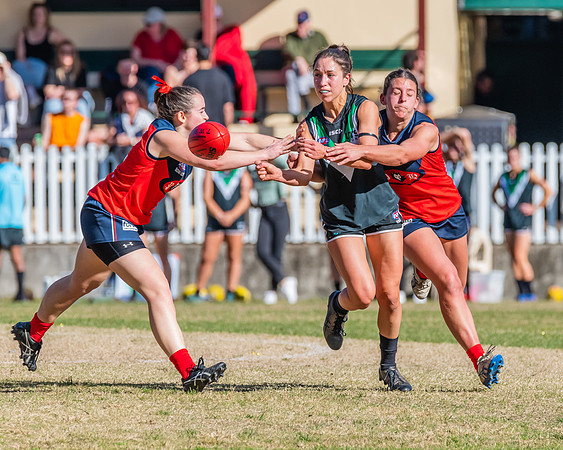 Rd 11 WPD - UTS v Pennant Hills - 25 June 2022