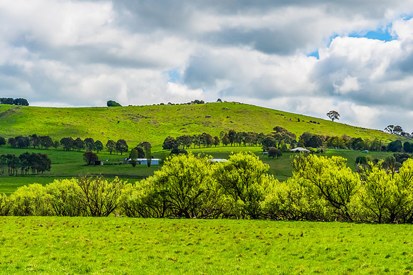 A Spring day in the green and hilly Central West NSW countryside