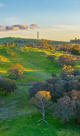 Golden Hour Light Over the Countryside