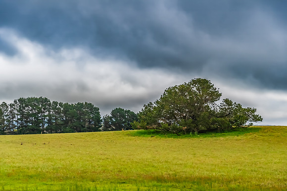 Rural landscapes on an overcast Spring day in the Central Tablel
