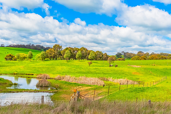A Spring day in the green and hilly Central West NSW countryside
