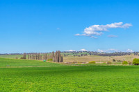 Green Hills and Rural Landscape near Chifley Dam