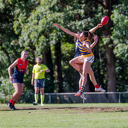Rd 2 WPD - Pennant Hills v Sydney Uni - 15 April 2023