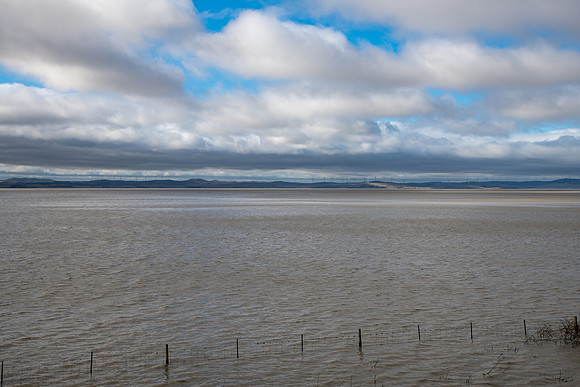 Lake George (New South Wales) in Winter