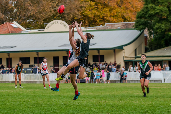 Rd 6 WPD - UTS v Pennant Hills - 13 May 2023