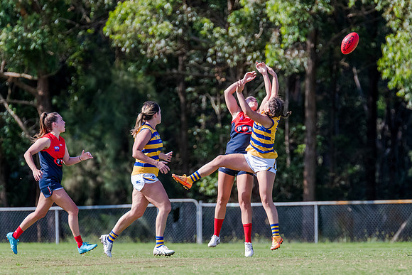 Rd 2 WPD - Pennant Hills v Sydney Uni - 15 April 2023