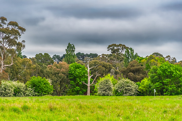 Rural landscapes on an overcast Spring day in the Central Tablel
