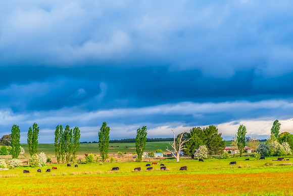 Spring landscape in the countryside with rain clouds