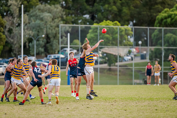 Rd 2 MPD - Pennant Hills v Sydney University - 15 April 2023