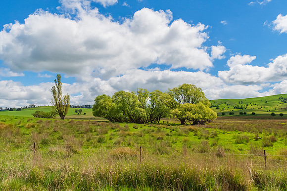 A Spring day in the green and hilly Central West NSW countryside