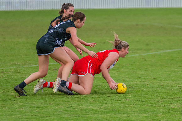 Rd 7 WPD - St George v UTS - 25 May 2024