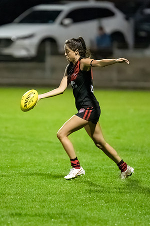 Rd 3 WPD - UNSW-ES v North Shore - 22 April 2023