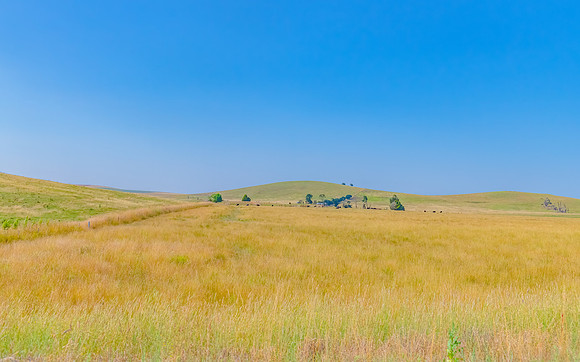 Rural scenery in the Summer around Blayney in the Central West o